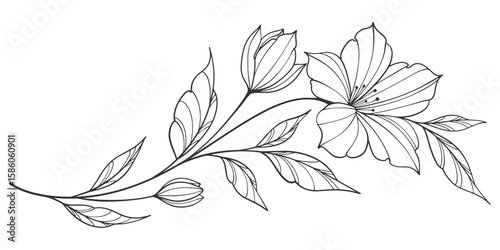 flower and leaves drawing. Vector hand drawn engraved floral card. Botanical, branch and flower Black ink sketch. Great for tattoo, invitations, greeting cards, decor