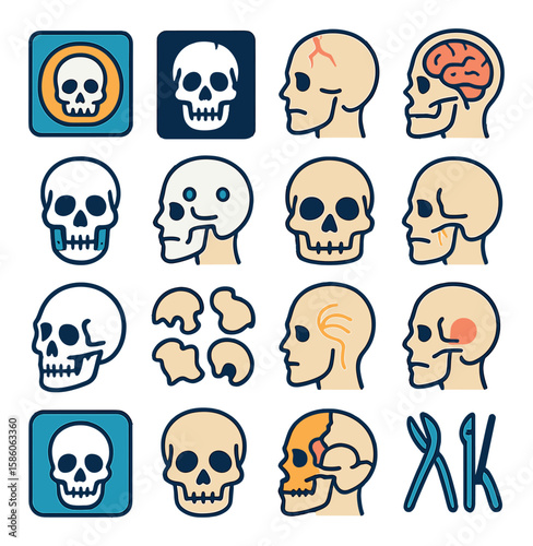 skull medical modern flat style.CT scan skull,X-ray skull,fractured skull,brain inside skull,jaw surgery,skull implants,skull base,skull reconstruction,3D skull