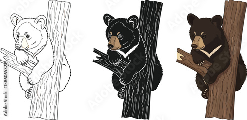 Three adorable bear cubs are depicted climbing a tree, showcasing different artistic styles from line art to full color, ideal for children's illustrations and educational materials.