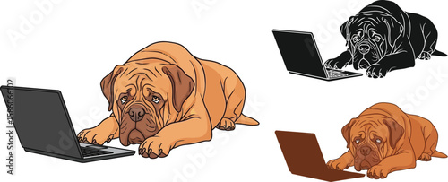 A charming cartoon depicts a brown dogue de bordeaux breed using a laptop, with additional versions in silhouette and different color schemes, ideal for humorous or tech-themed designs.