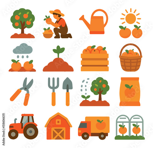 orange growth and harvesting modern flat style. orange orchard, farmer picking, watering can, sun, rain, soil, orange crate, harvesting basket, pruning shears, farm tools