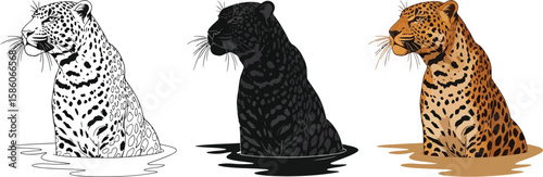 Three majestic leopards are showcased in this illustration, each rendered in a distinct style, from a classic black and white outline to a striking black panther and a vibrant orange spotted coat.
