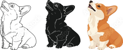 Three adorable corgi puppies are illustrated in different styles, including a line drawing, a silhouette, and a full-color version, all looking upwards with curiosity and charm.