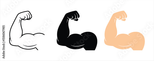 Muscle icon set vector illustration on white background