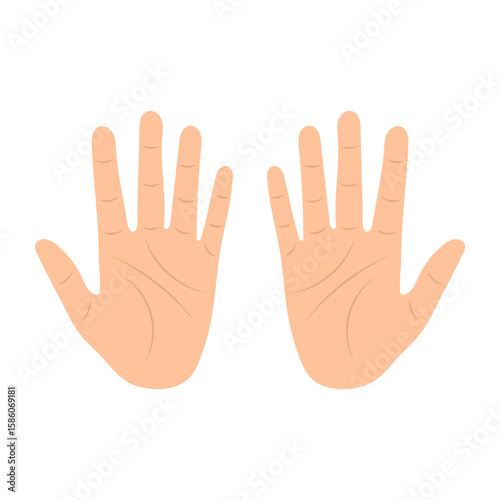 Cartoon Human Hands Palms Up Vector Illustration. The image shows both left and right hands with visible palm lines, fingers fully extended and thumbs spread apart.