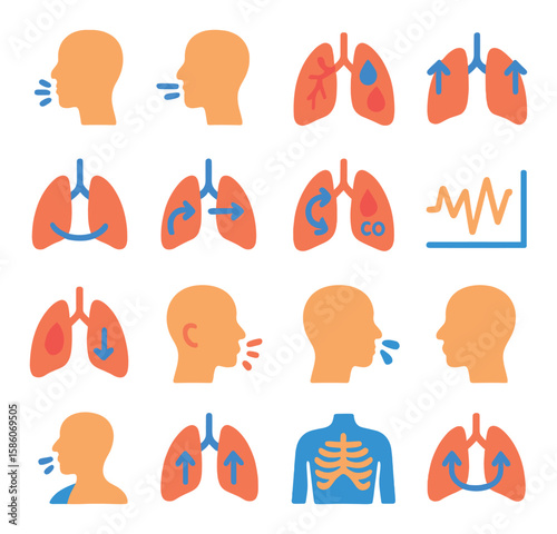 lung functions and breathing modern flat style. inhalation, exhalation, oxygen exchange, carbon dioxide removal, lung expansion, diaphragm contraction, air flow, gas