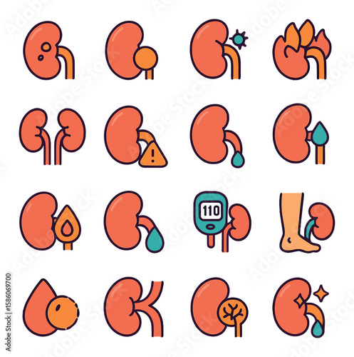 kidney diseases and conditions modern flat style. kidney stone, cyst, infection, inflammation, chronic kidney disease, acute kidney injury, kidney failure, proteinuria