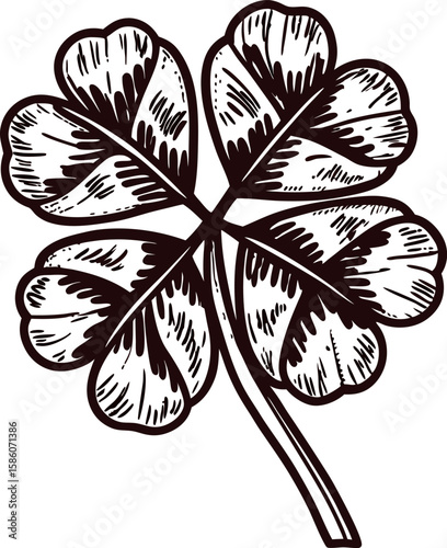 Hand drawn four leaf clover vintage botanical luck symbol sketch illustration