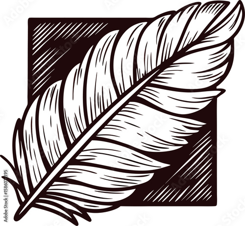 Detailed hand drawn feather illustration in vintage engraving with bold lines and textured background