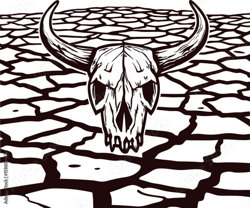 Vintage engraved bull skull with horns on cracked dry desert ground, black and white illustration