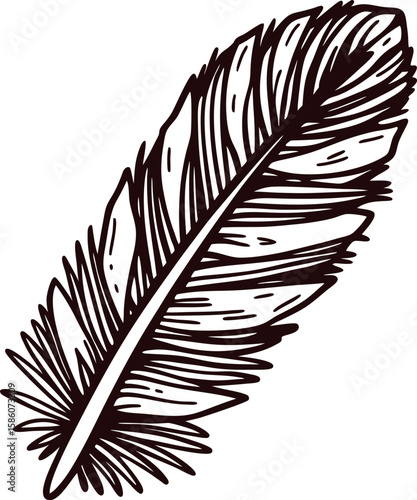 Hand drawn detailed feather isolated on white background vintage sketch line art illustration design