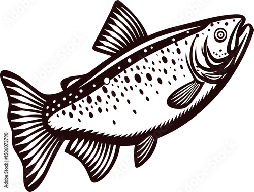 Hand drawn illustration of trout fish with spots isolated on white background vintage engraved ink art