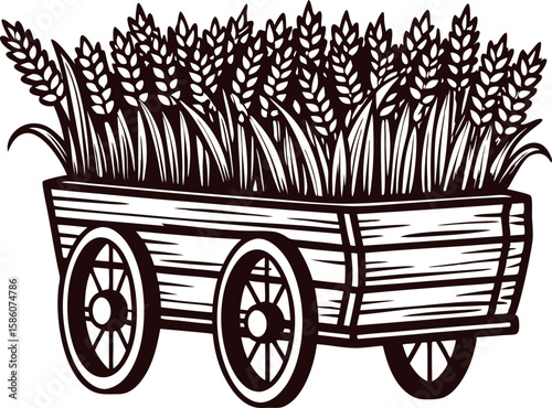 Rustic wooden wagon filled with harvested wheat and grain sketch illustration isolated on white background