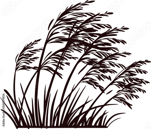 Hand drawn wild grass in wind black silhouette illustration of swaying tall meadow plants isolated on white background