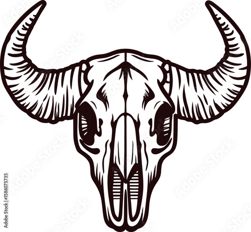 Hand drawn bull skull with large curved horns isolated on white background vintage engraving illustration