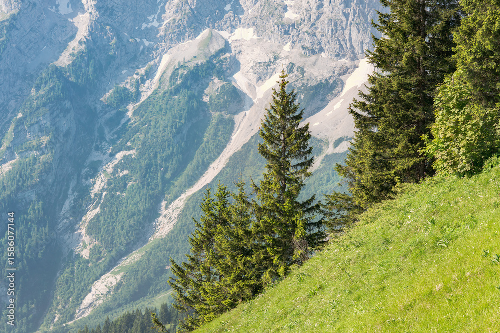 Fototapeta premium Friedliche Bergwelt im Berchtesgadener Land
