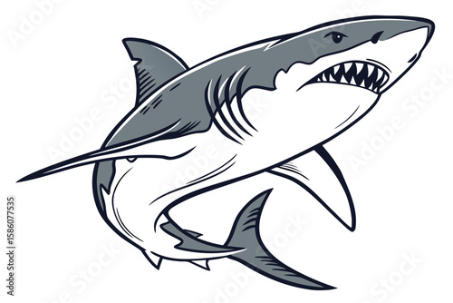 Gray Shark Illustration with Sharp Teeth and Fins great white shark