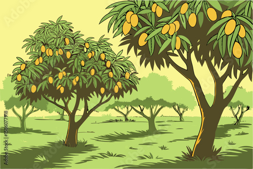 Ripe yellow mangoes on trees in a sunny orchard fruit