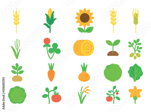 Field crops and plants modern flat style. wheat stalk, corn plant, sunflower, barley, rye grass, clover, hay bale, bean sprout, potato plant, carrot top, onion bulb