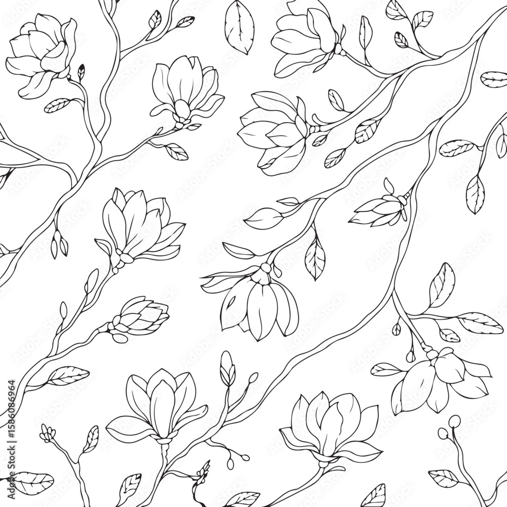 Fototapeta premium Black and white line art of magnolia branches and flowers