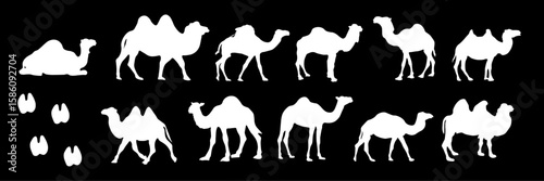 Camel vector illustration, desert animal illustration. Perfect camel clipart for fabric, wallpaper, wrapping paper. Captures camel iconic shape, movement in elegant, simple style