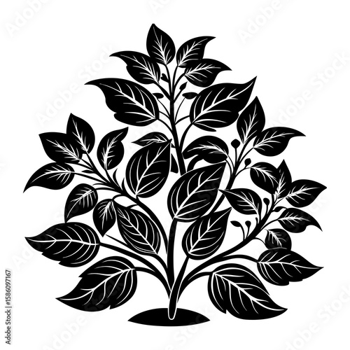 Black and white vector illustration of stylized plant with leaves for graphic design needs