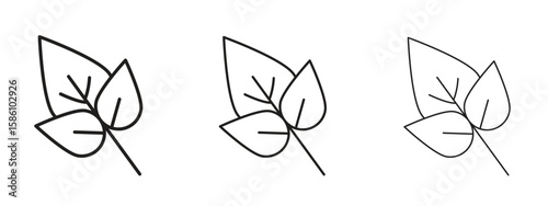 Basil icon. Premium quality symbol. Vector sign for mobile apps