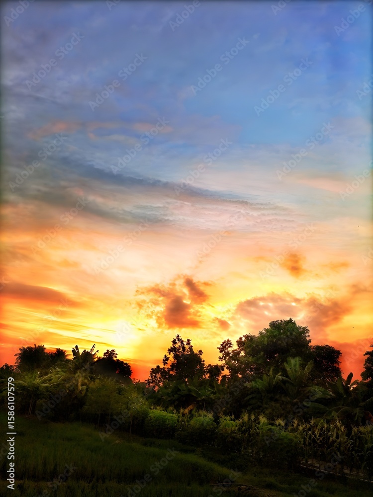 Fototapeta premium sunset over the field (done with edited)