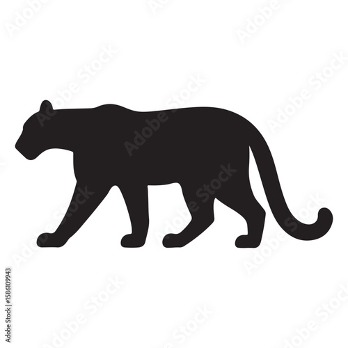 Wild leopard silhouette crouching with intense focused gaze