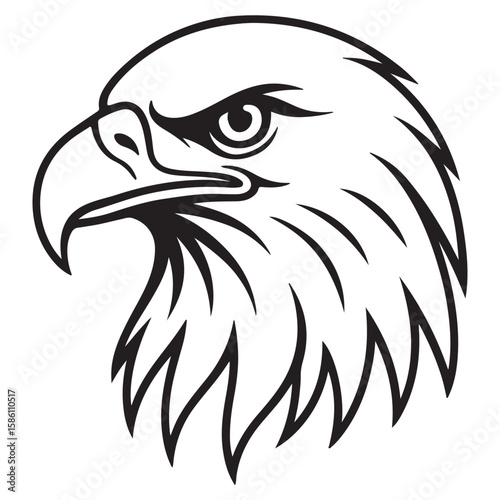 Majestic bald eagle head with fierce eyes in profile