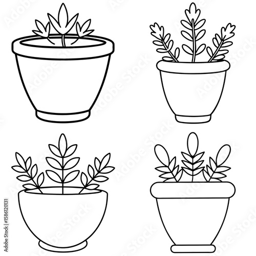Herb Pot Outline Vector - Black and White Coloring Page Icon