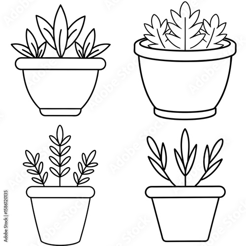 Herb Pot Outline Vector - Black and White Coloring Page Icon