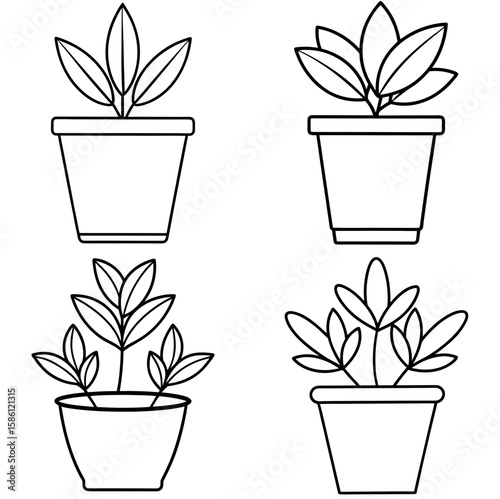 Plant Pot Outline Vector - Black and White Coloring Page Icon