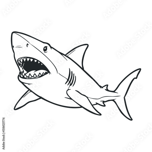 Black and white outline of great white shark showing sharp teeth. Hand draw vector illustration