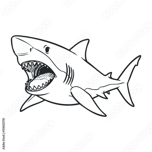 Dynamic black and white shark drawing with aggressive expression and open jaws. Hand draw vector illustration