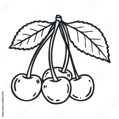 Simple black and white drawing of cherries with leaves. Hand drawn vector illustration
