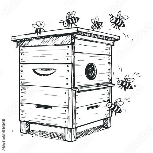 Wooden beehive with flying bees sketch; detailed black-and-white insect drawing. Hand drawn vector illustration