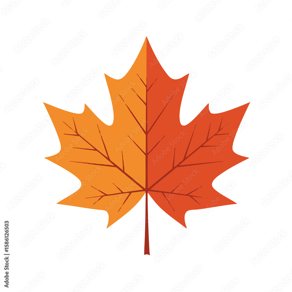 Naklejka premium Vector Illustration of Autumn Maple Leaf Isolated on White Background