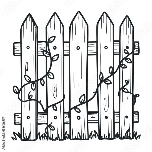 Wooden fence with climbing vines in black and white line art. Hand drawn vector illustration