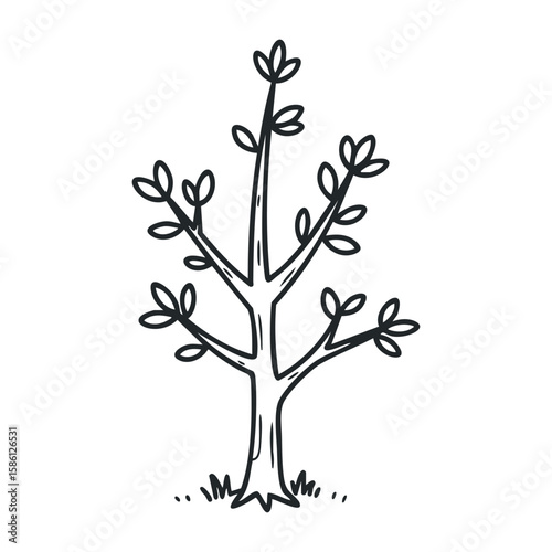 Simple black and white tree drawing with minimalist style and leaf details. Hand drawn vector illustration