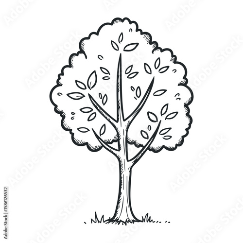 Simple black and white line drawing of a tree with leaves. Hand drawn vector illustration
