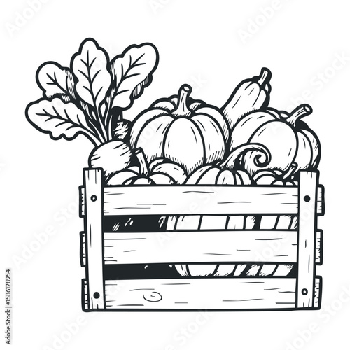 Hand-drawn wooden crate filled with fresh vegetables including squash and pumpkins. Hand drawn vector illustration