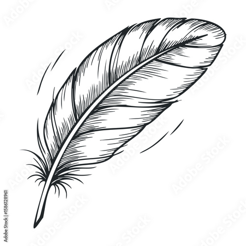 Intricate black feather sketch with detailed lines and natural curvature. Hand drawn vector illustration