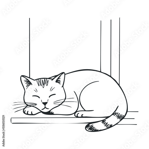 Minimalist line art of a sleeping cat on a window sill. Hand drawn vector illustration