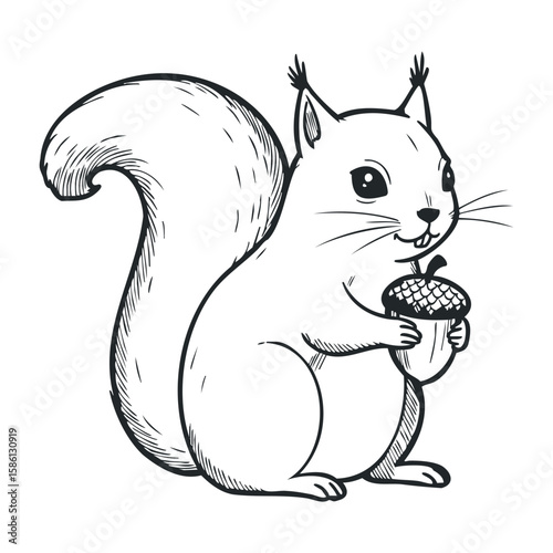 Hand-drawn squirrel holding acorn illustration in black and white style. Hand drawn vector illustration