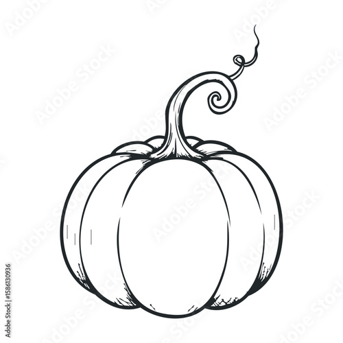 Hand-drawn black and white pumpkin with curved stem outline for halloween and autumn decor. Hand drawn vector illustration