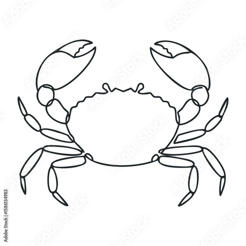 Outline drawing of a crab with claws and legs in detailed contour style. Outline vector illustration