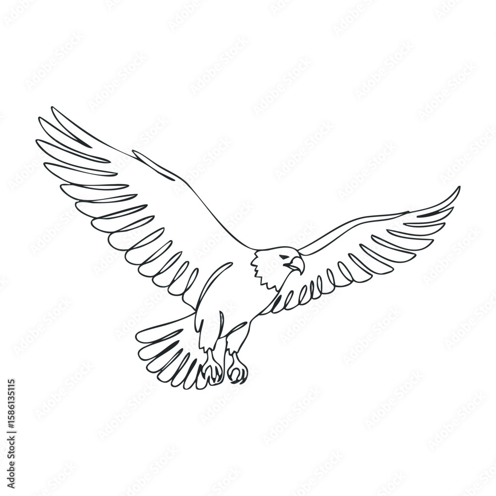 Obraz premium Outline of bald eagle in flight with majestic wingspan. Outline vector illustration