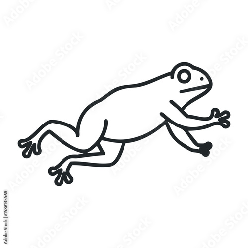 Outline of a jumping frog with extended limbs on white background. Outline vector illustration