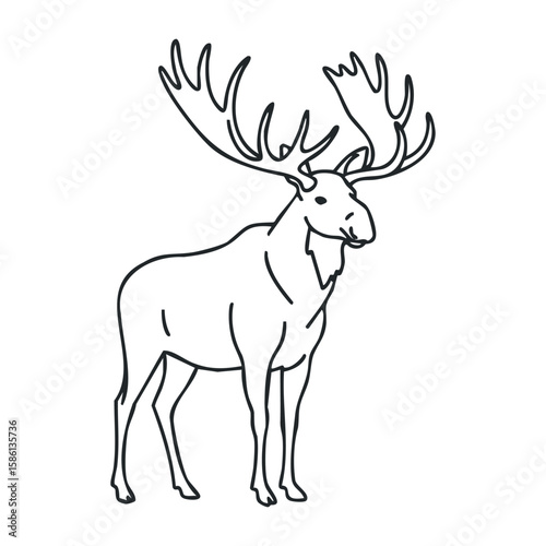 Outline of majestic deer with large antlers in minimalist style. Outline vector illustration